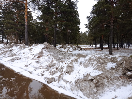 Рисунок 1. Кучи снега в лесной зоне г. Ангарска