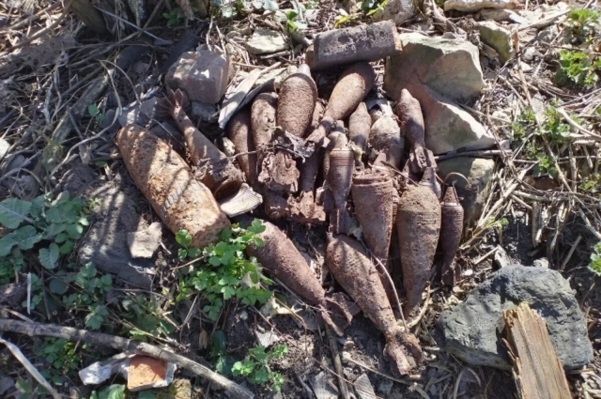    В РФ выросло производство компонентов для боеприпасов