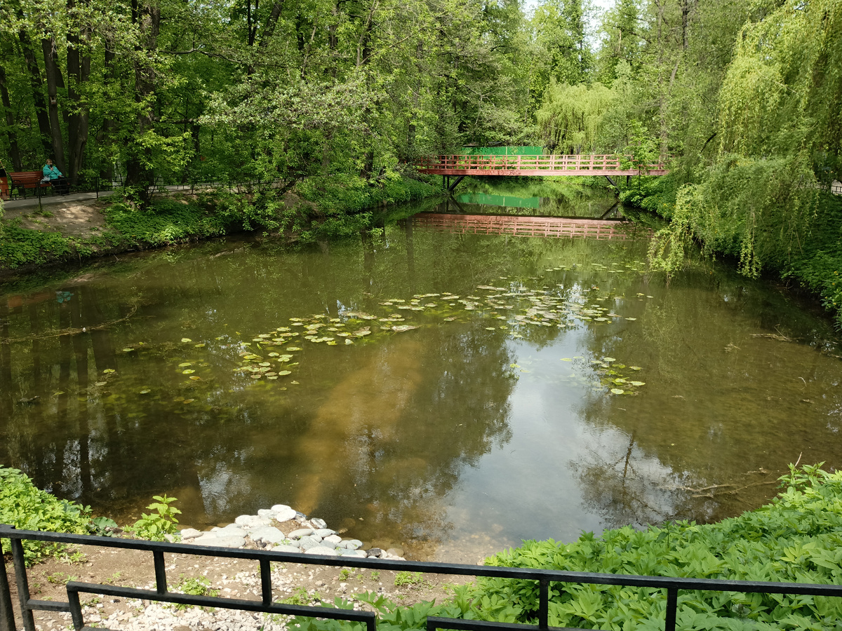 Самая южная часть Щучьего пруда, вид с юга.