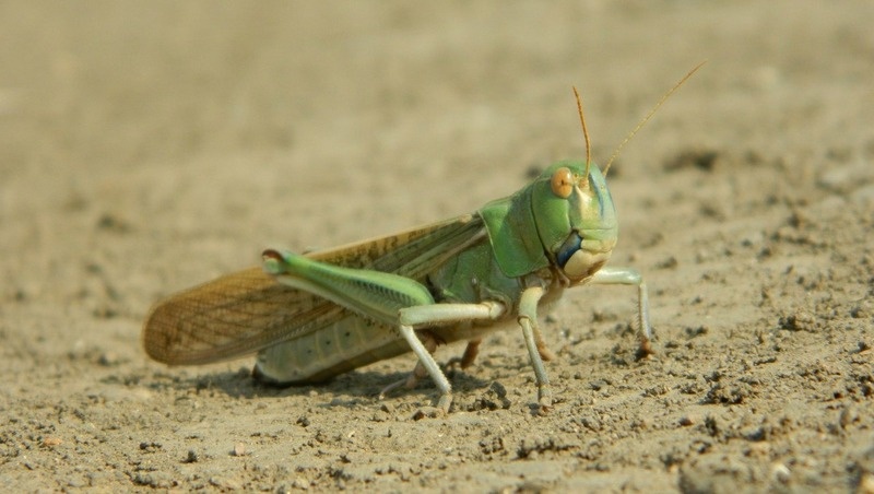      Фото: Юлия Яковенко / / Из личного архива