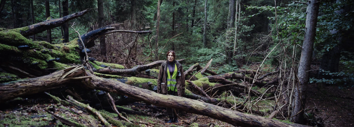 Фрагмент из сериала "Тёмное сердце"