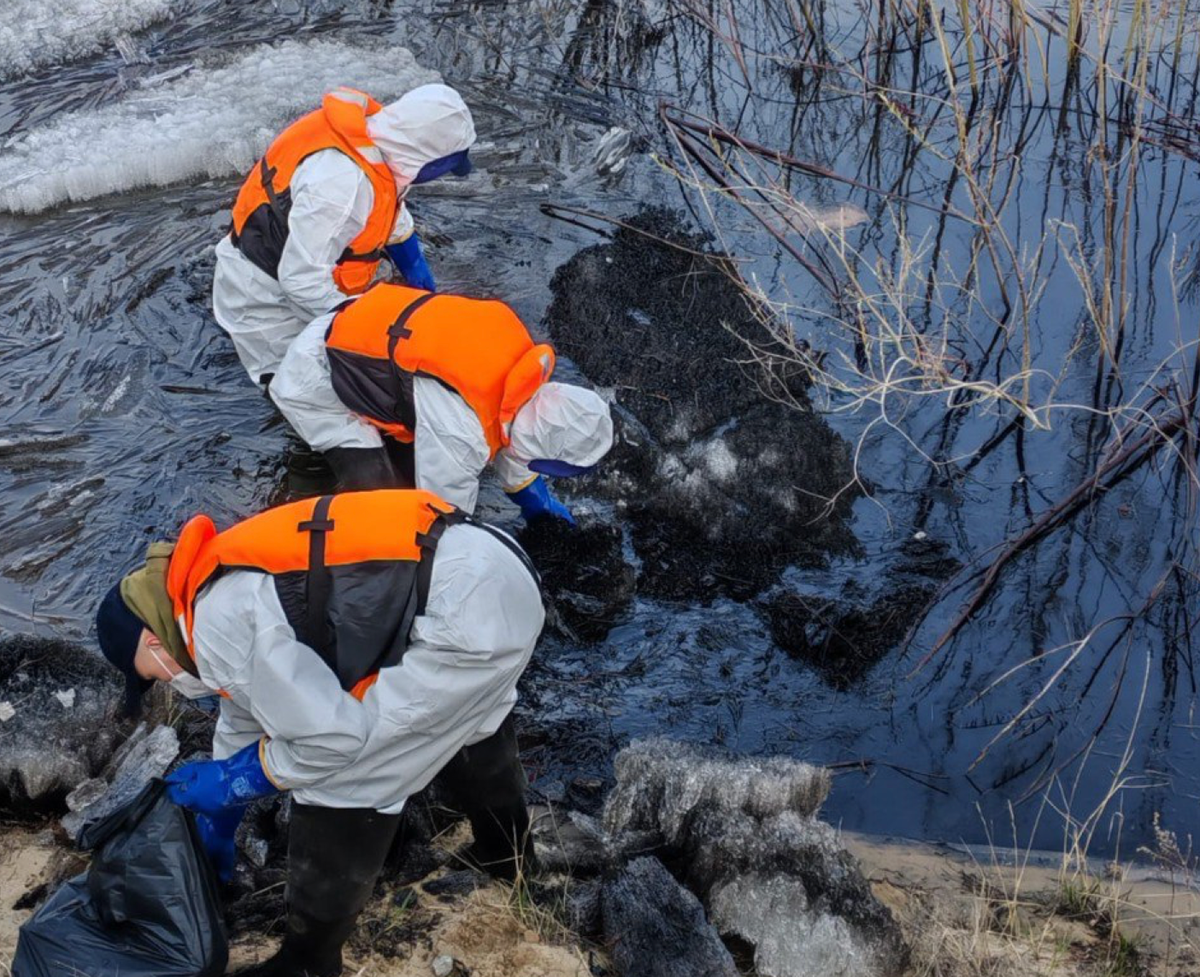     / Источник: ©Telegram-канал Министерства экологии Якутии