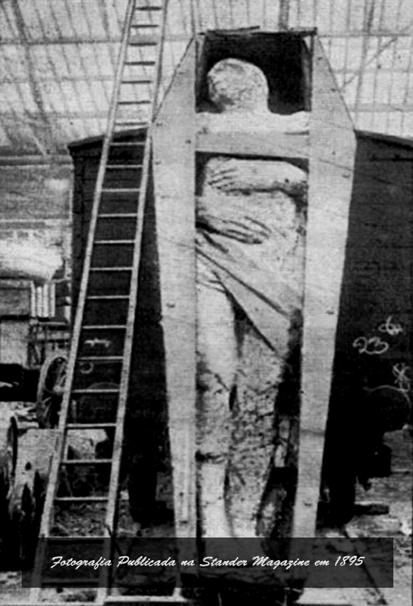 Предположительно окаменевший гигант, найденный в 1895 году в графстве Антрим, Ирландия. Рост — около 3,65 метра, на правой ноге — шесть пальцев. Экспонировался в Лондоне, Дублине и Манчестере, после чего бесследно исчез.

Источник: commons.wikimedia.org/wiki/File:Irish_fossilized_giant.jpg