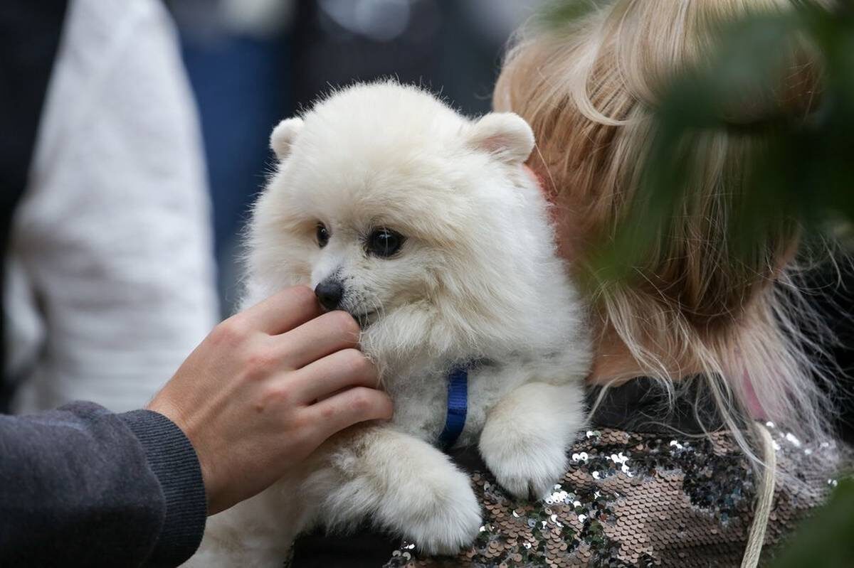   Фото: Софья Сандурская / АГН Москва