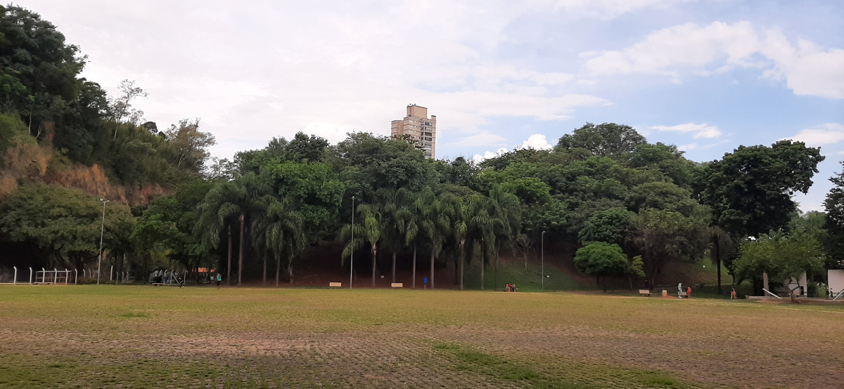 Кампинас, штат Сан-Паулу.