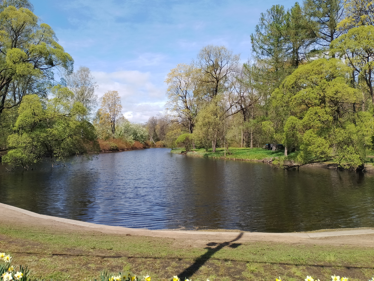 Множество живописных канало добавляют особой очарование прогулкам по парку