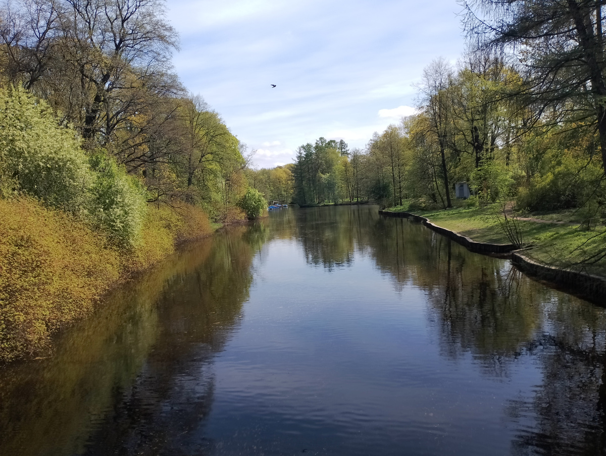 По каналам можно покататься на лодке