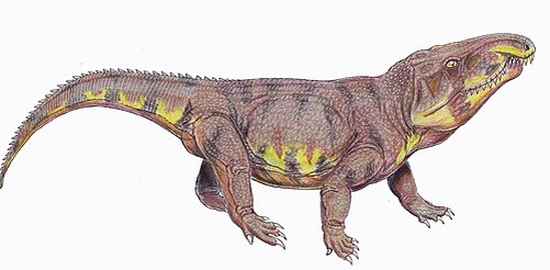 Чалышевия. Иллюстрация от Дмитрия Богданова.