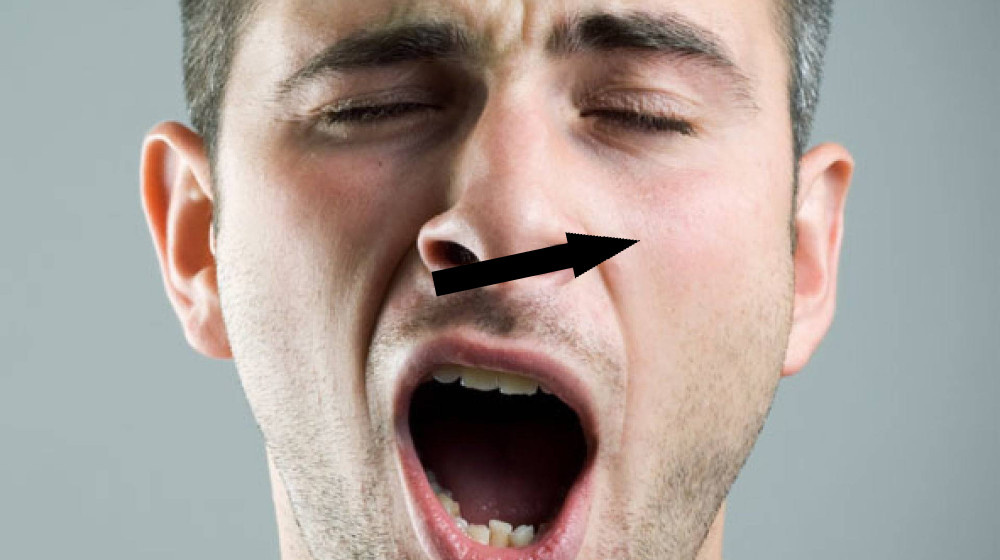    Тайна эпидемии зевоты которая парализовала Нью-Йорк в 2012 году