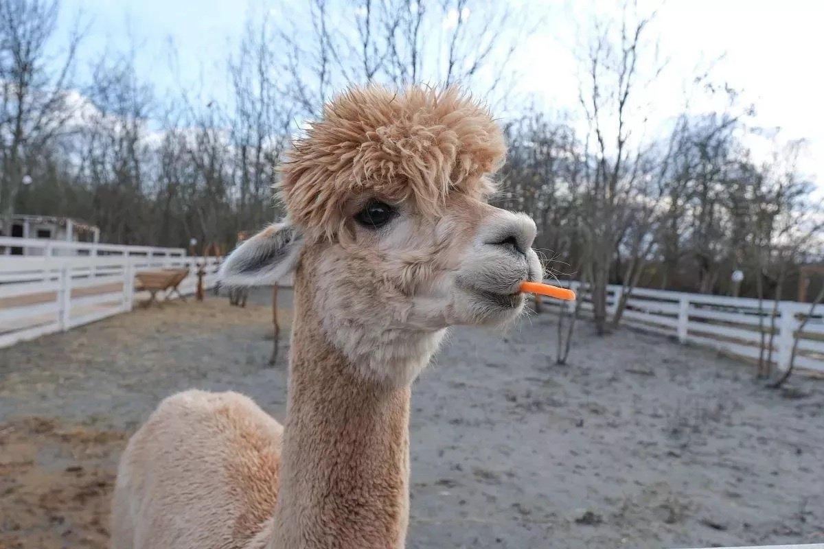 Фото: Михаил Ступин