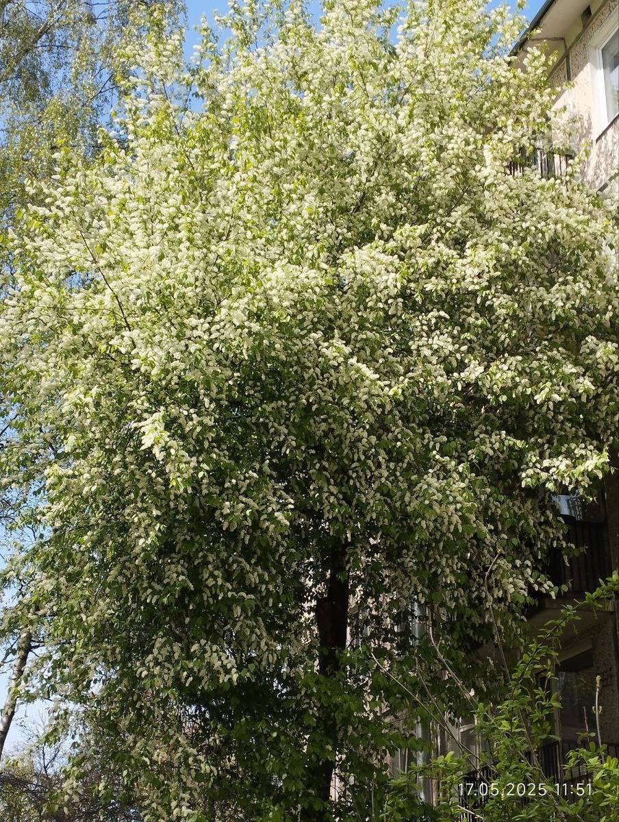 Фото автора.