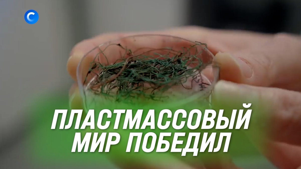    Скрытая угроза: микрочастицы, которые нас убивают