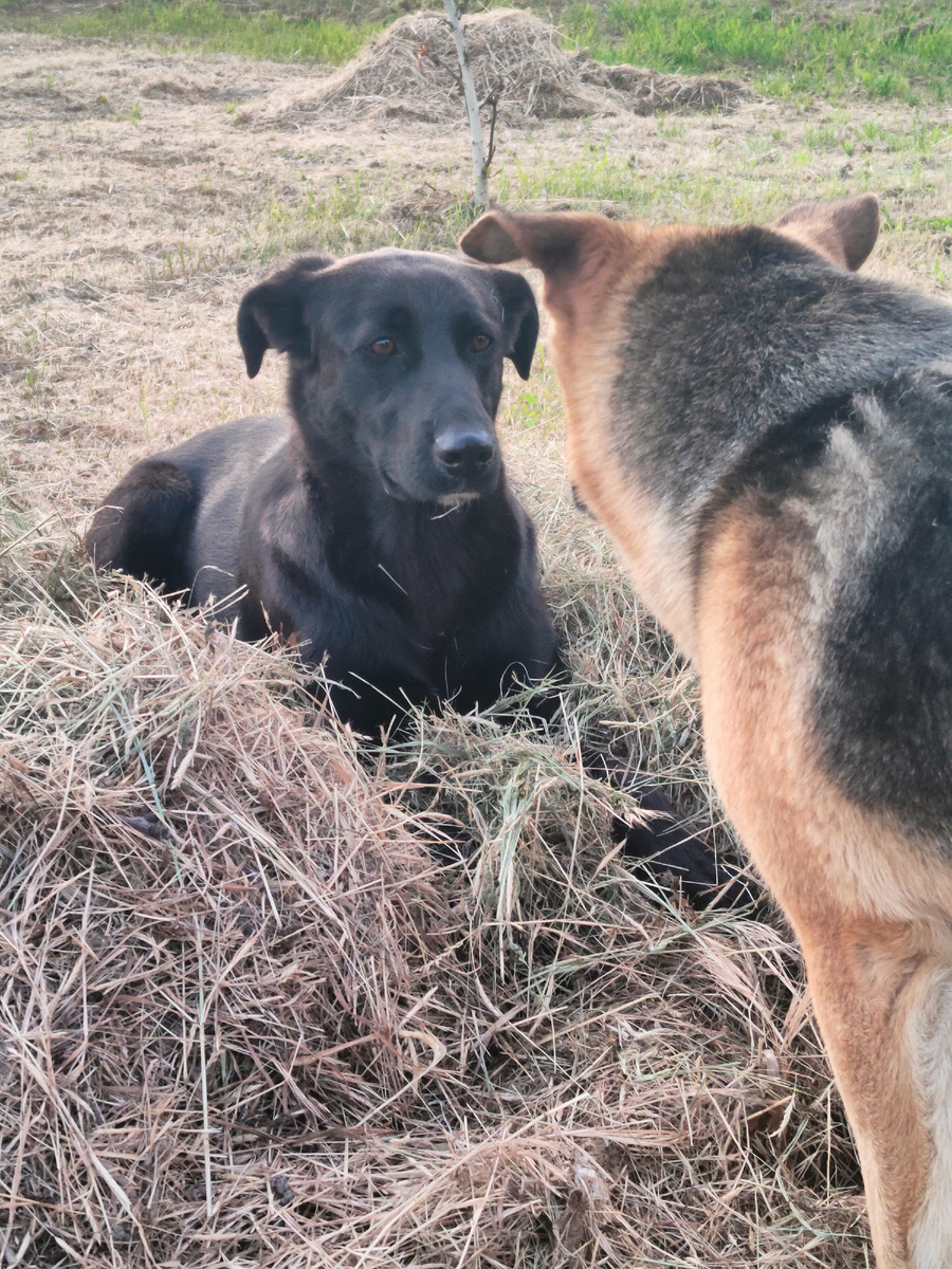 Глаза в глаза))