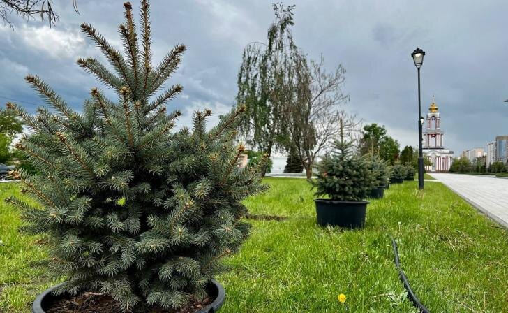    Володько тг