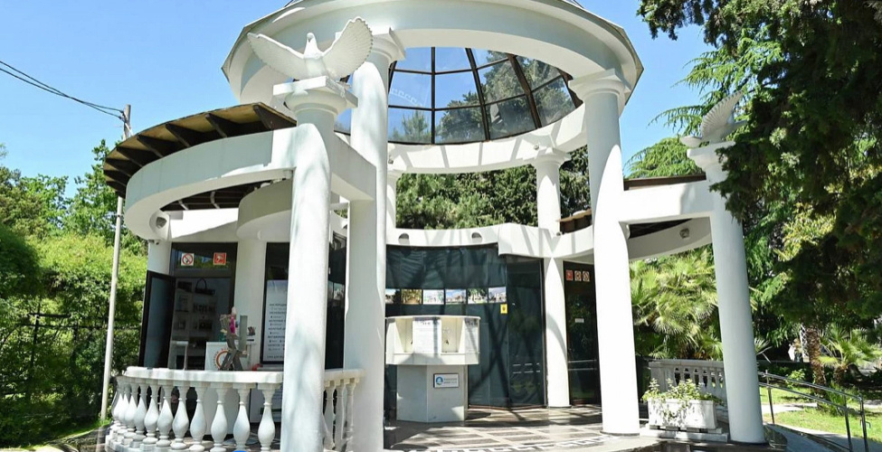 Фото: пресс-служба администрации Сочи