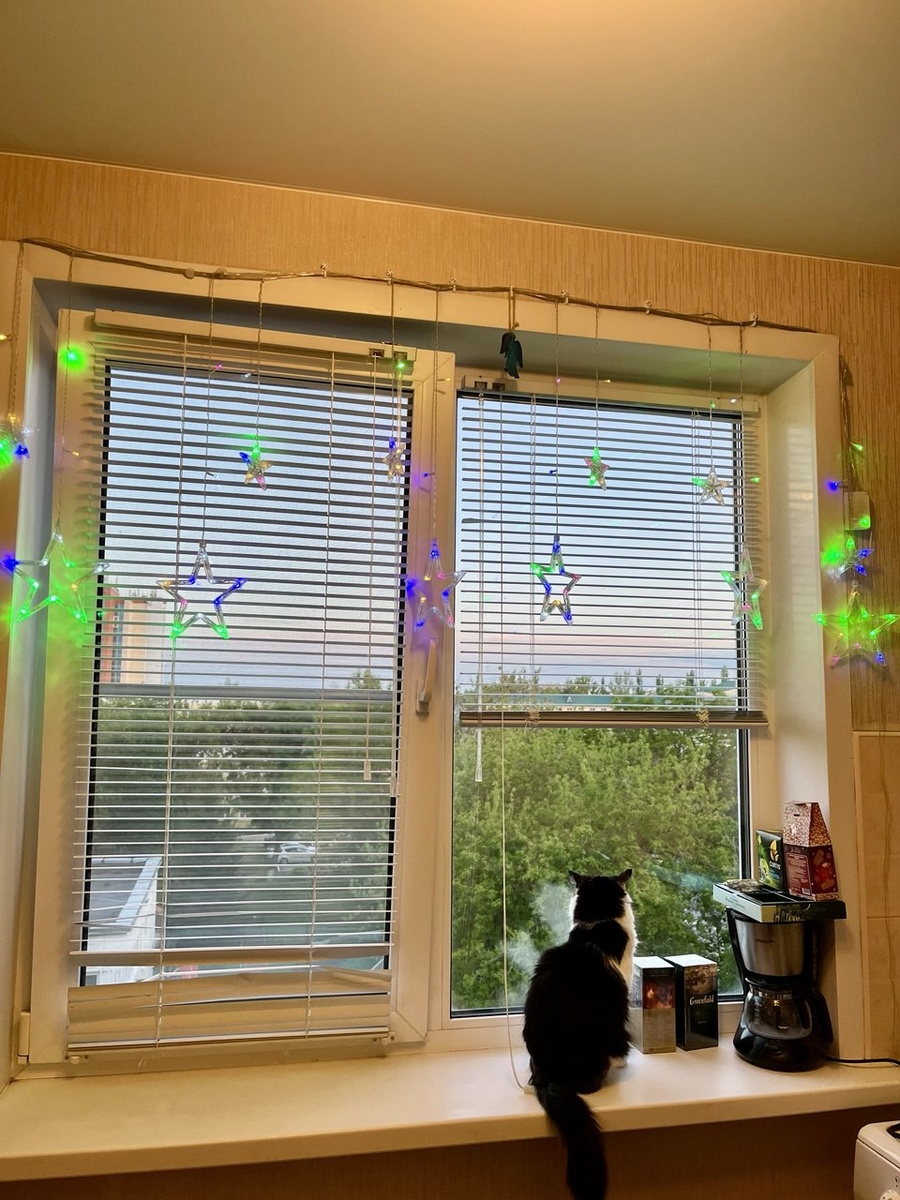 Повесила, конечно, не очень ровно. Мужчина, думаю, повесил бы лучше. Ещё надо завтра пару крючков там прибить. Не хватило тогда, потом заказала. Ещё одна недоделка. Жалюзи с одной стороны поломала Чита. Прорубала себе окно в Европу. С другой стороны уже Лиза постаралась. 