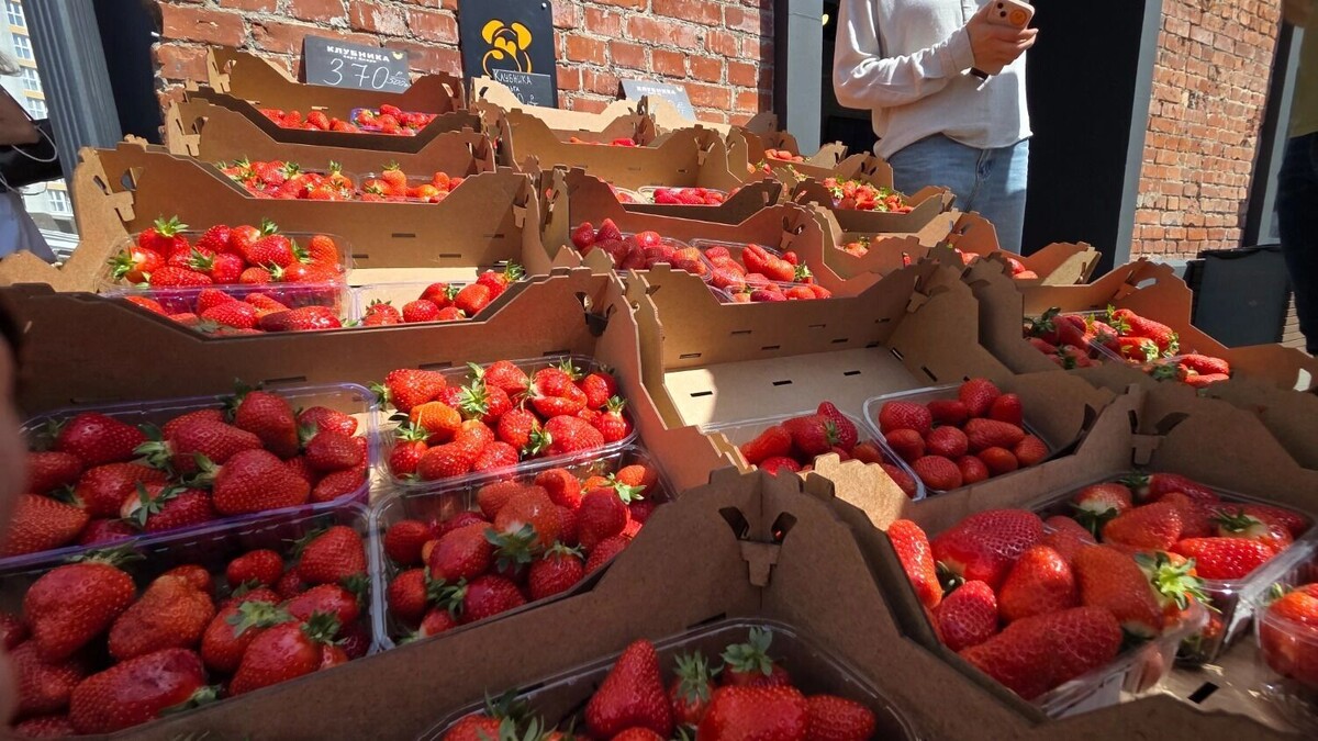     Автор: KubanPress