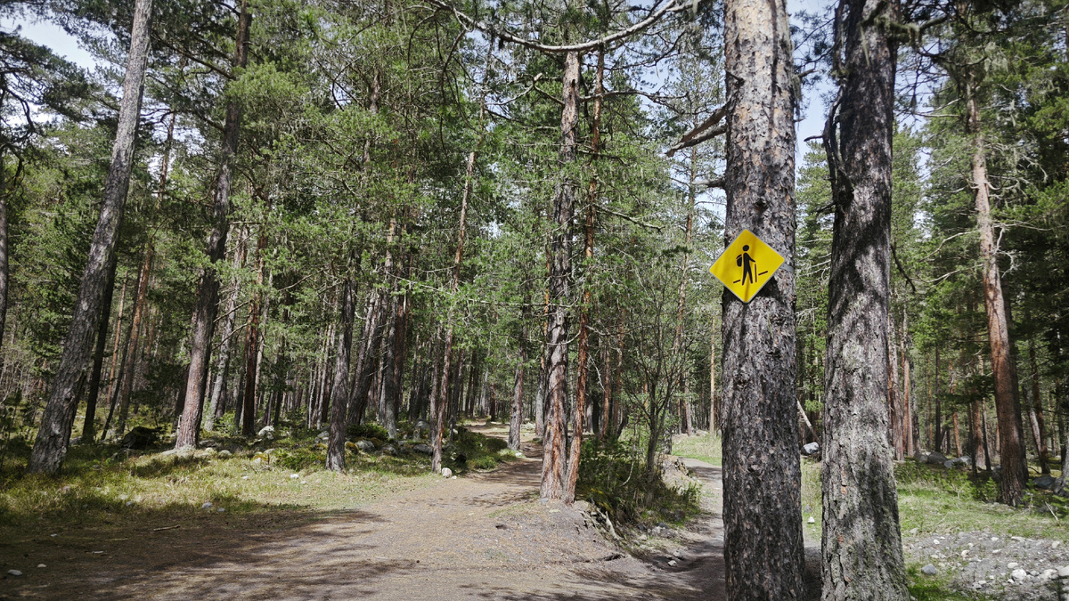 Фотографии из личного архива