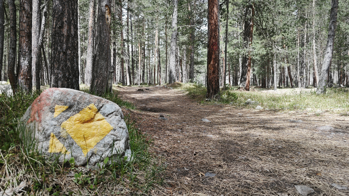 Фотографии из личного архива