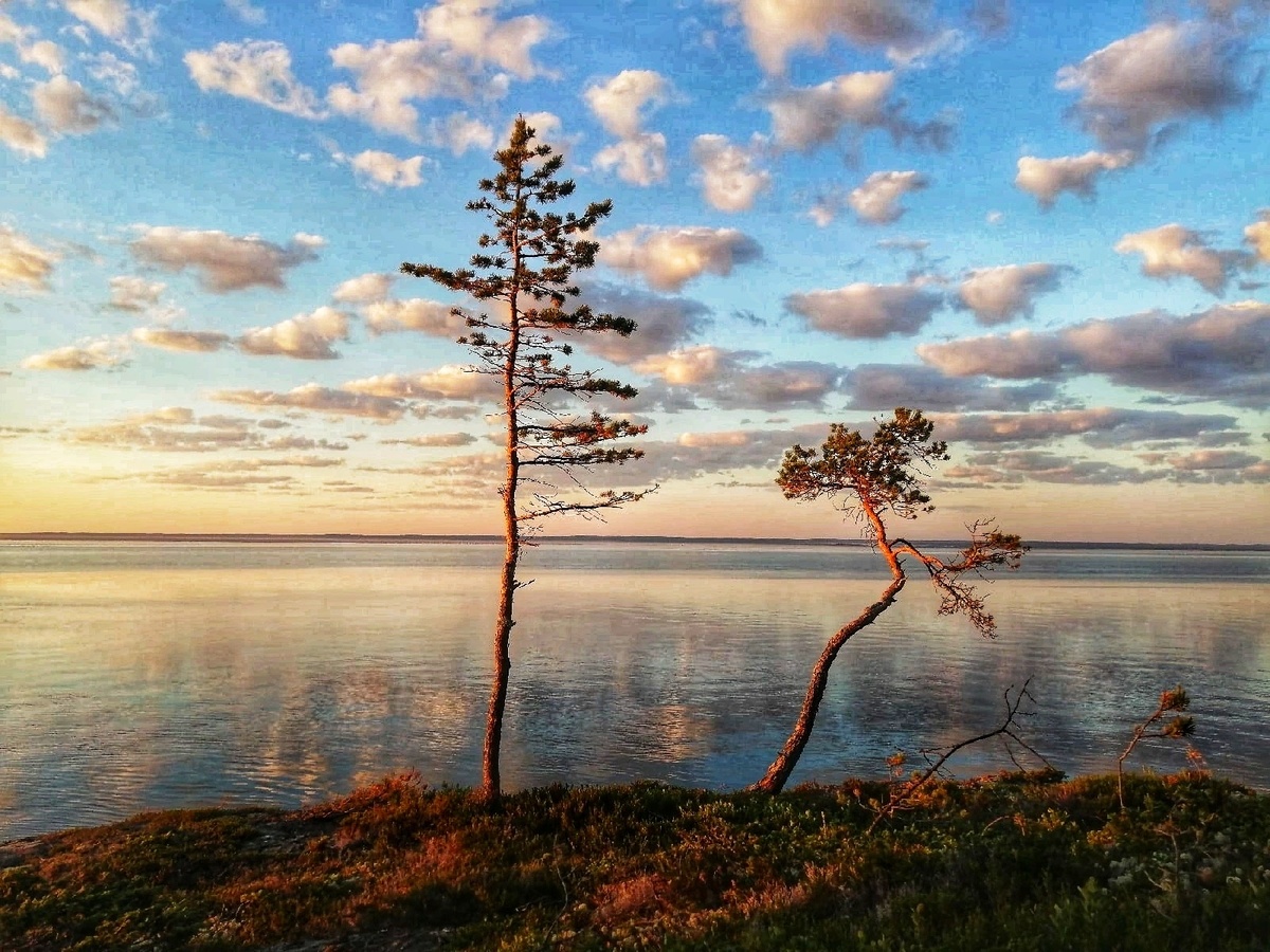 Фото из интернета 