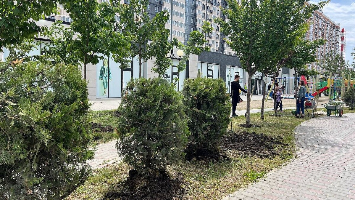    фото: пресс-служба администрации Краснодара