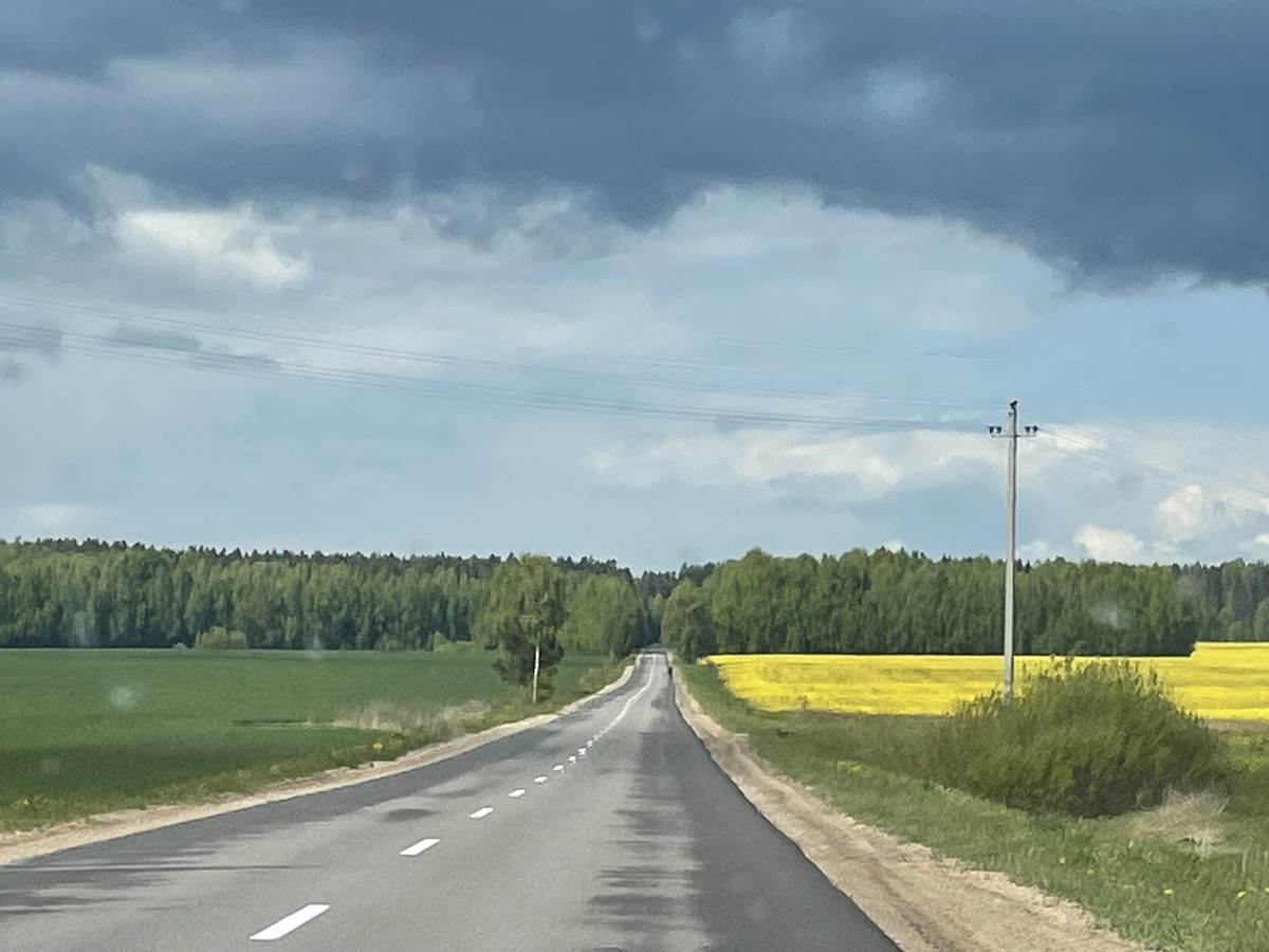 Просто красивый кадр