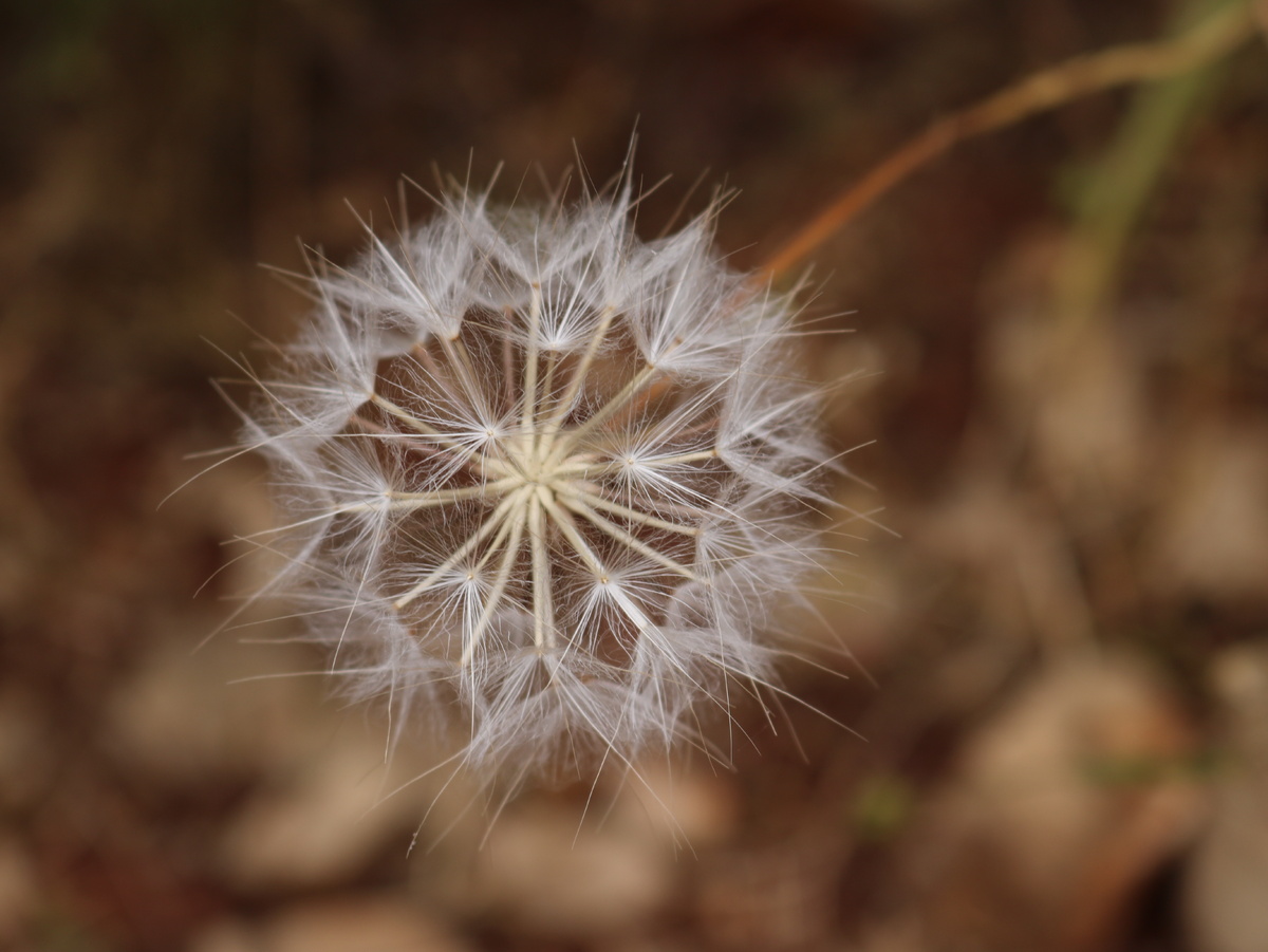 Это не завершающая фаза