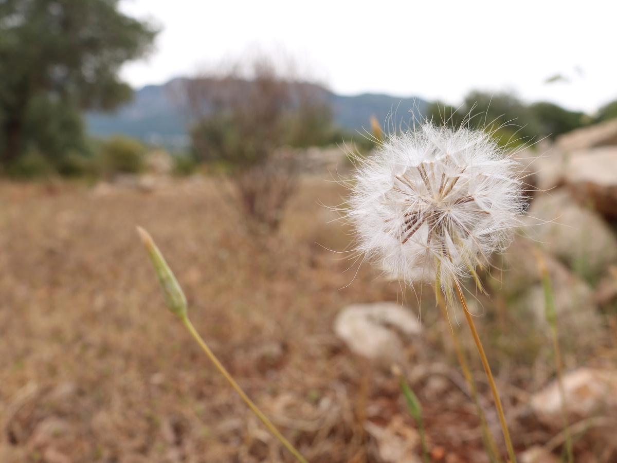 Пожил немного