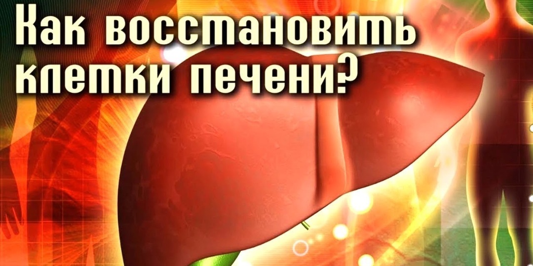Что происходит с печенью после 60 и как её поддержать
