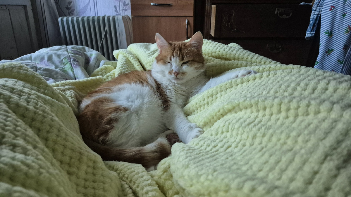 Утро. "Принцесса спит" - сказала мама про это фото