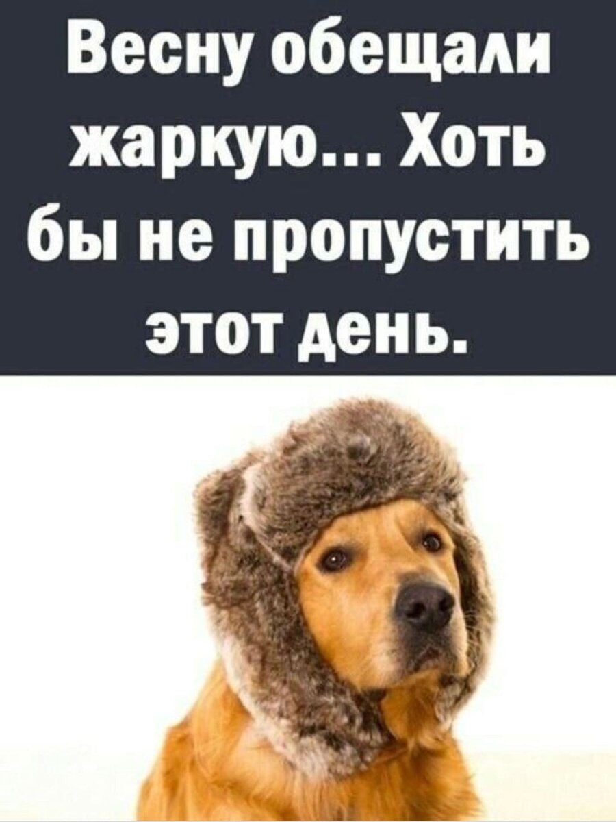 -8