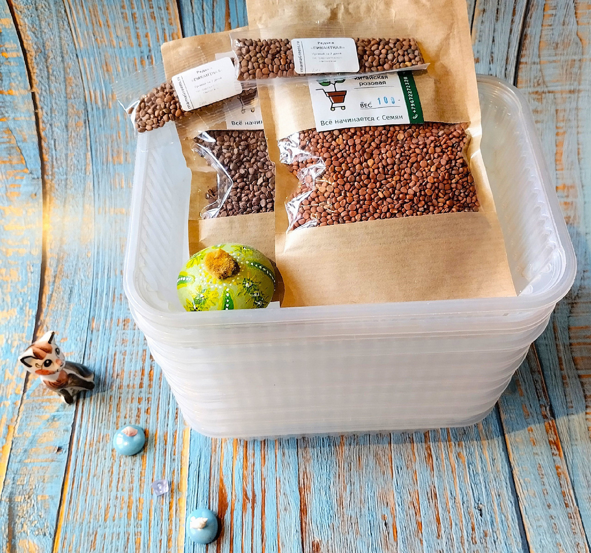 Все начинается с семян!