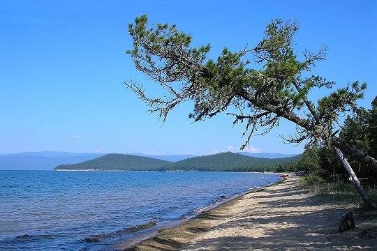    Владимир Путин поручил проработать запрет на неразлагаемую посуду в районе озера Байкал