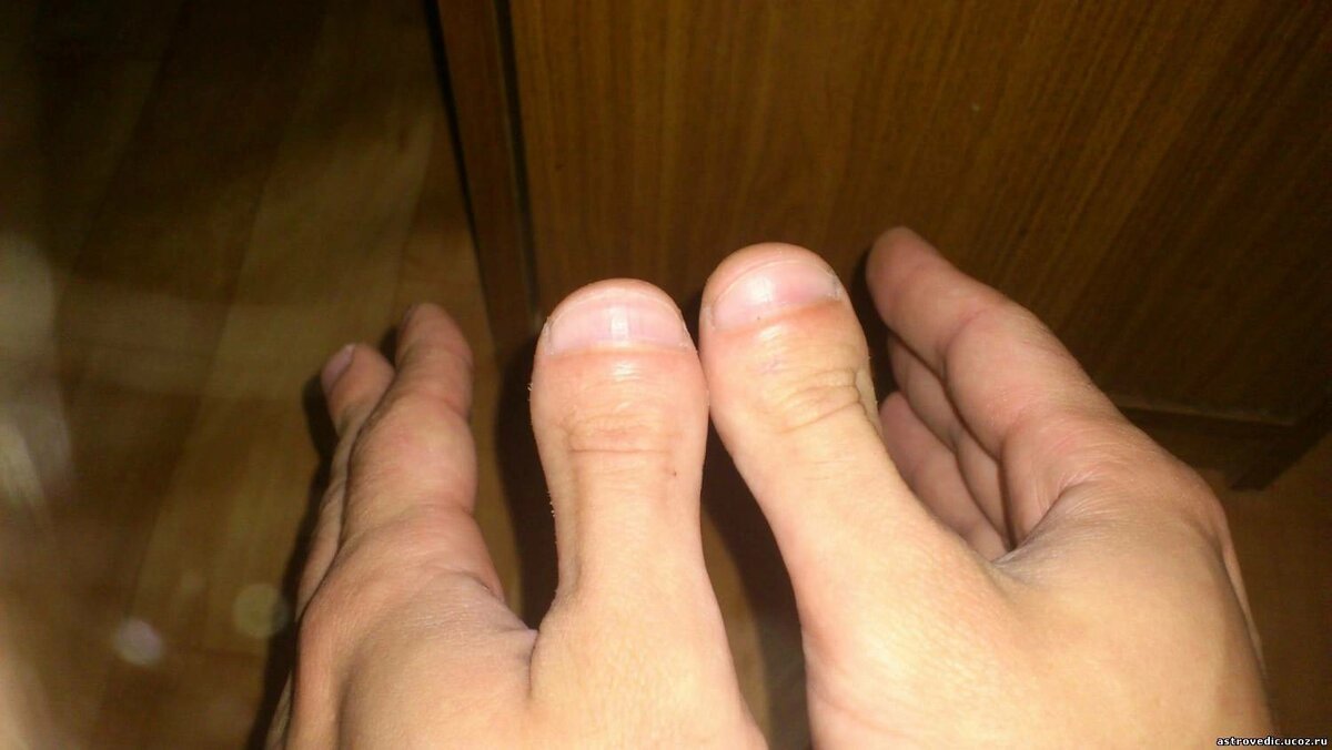 Фото из интернета 