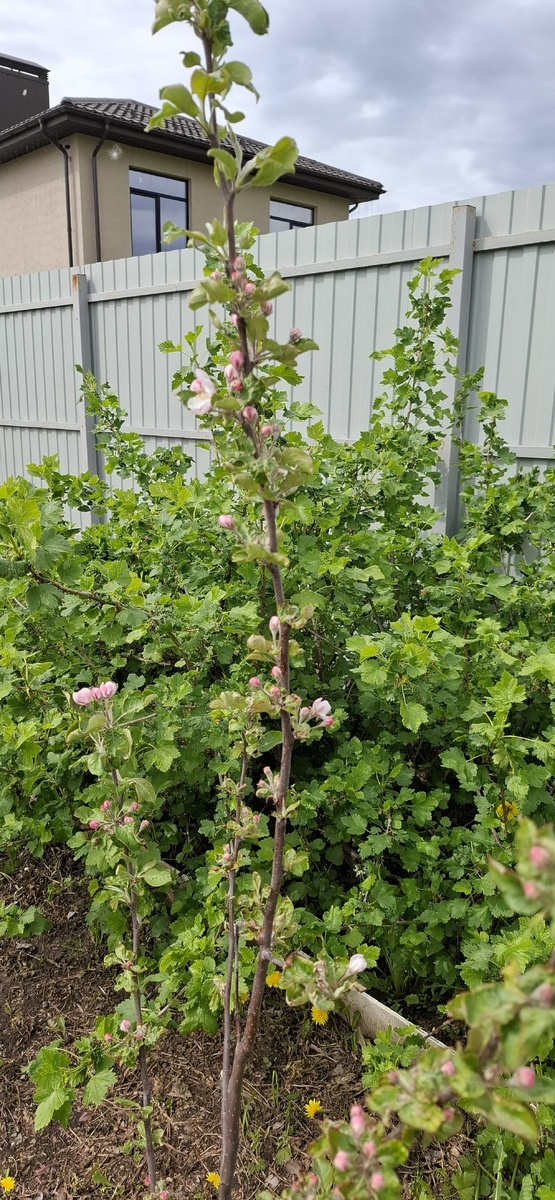 Фото автора канала. 