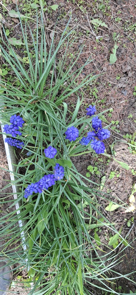 Фото автора канала. 