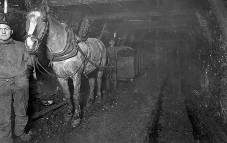 Лошадь тянет партию угля
