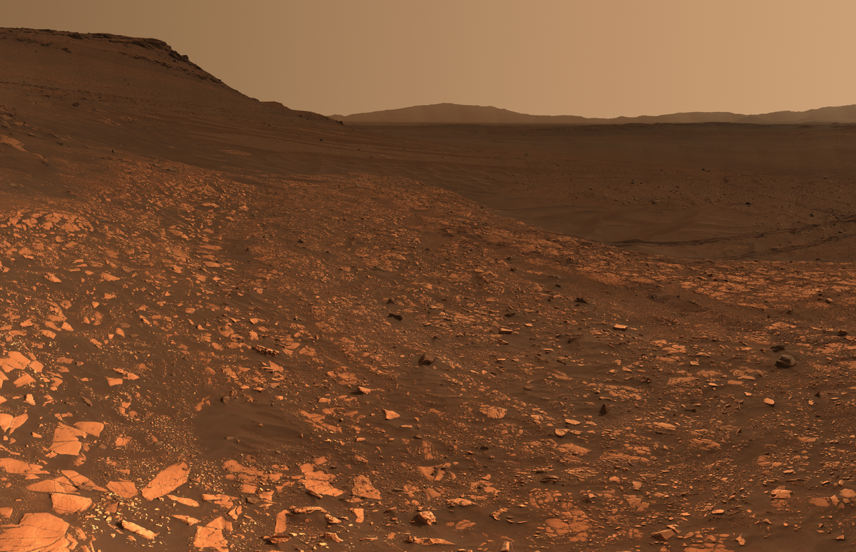  Вид в естественном цвете