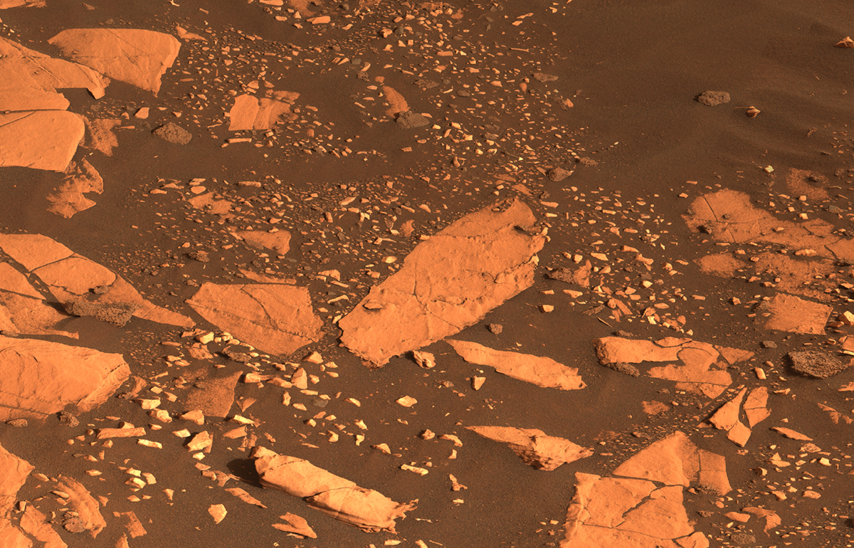  Вид в естественном цвете