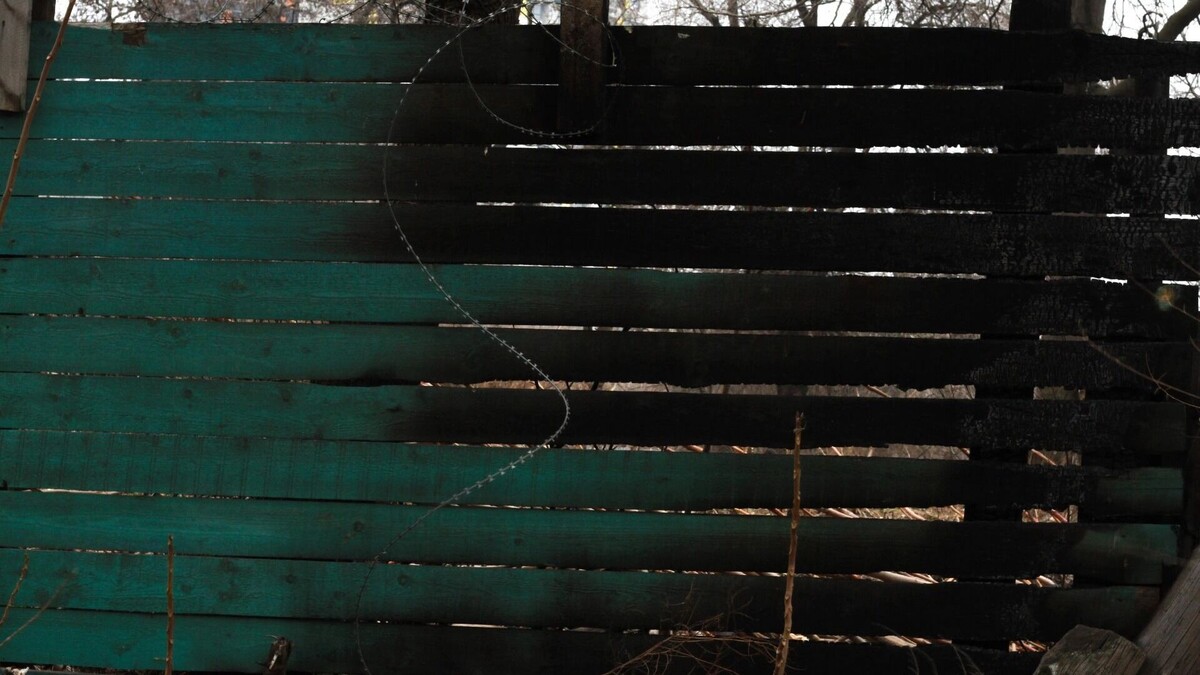     Источник: 1MI