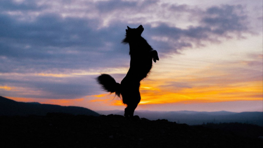    Фото: Личный архив Валентины Сауткиной; 5-tv.ru