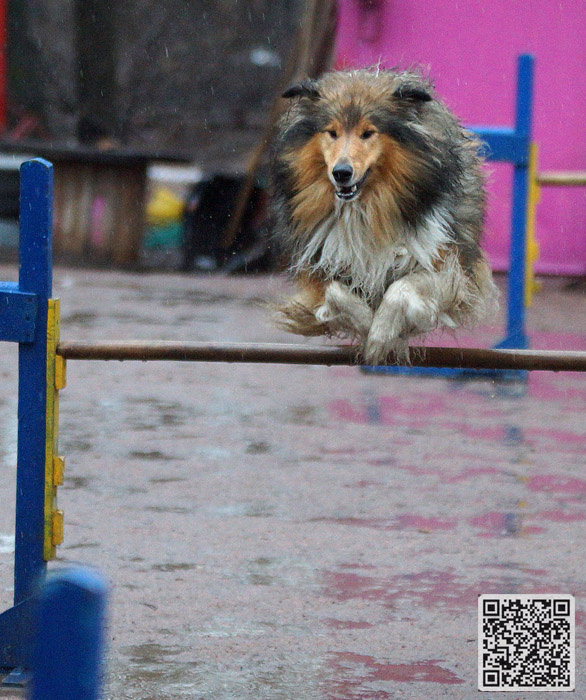 Фото из личного архива