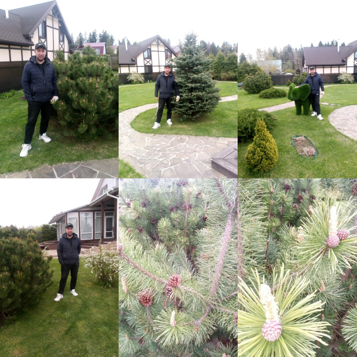 Фотографировала мужа, потому что сама и не накрашенная была, и одета в рабочее. А мужчинам всё равно 🤣🤣🤣