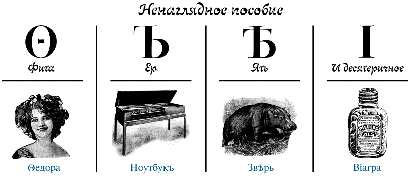 фото Яндекс картинки