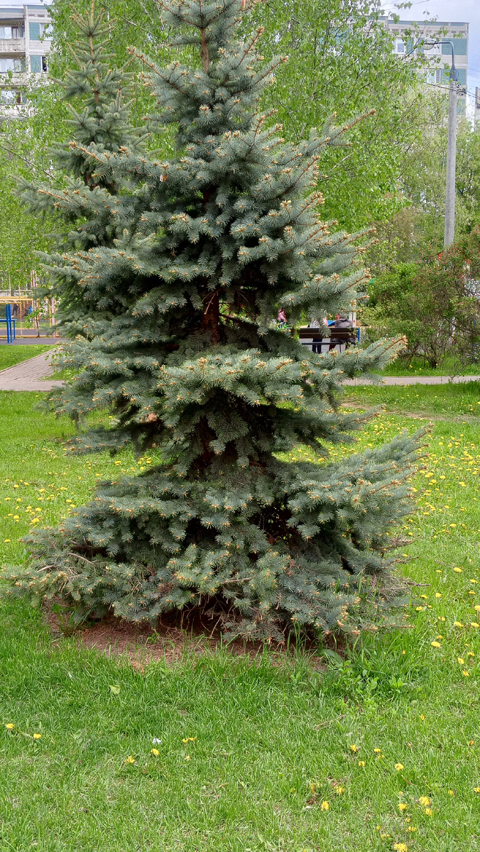 Фото автора.