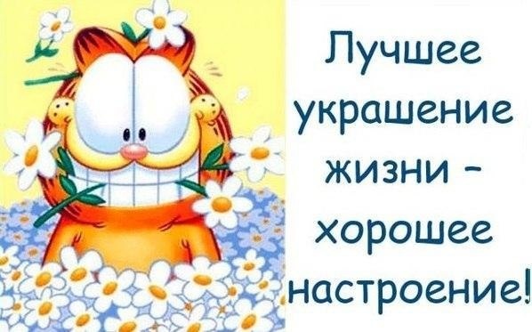 Фото из открытого источника в интернете.