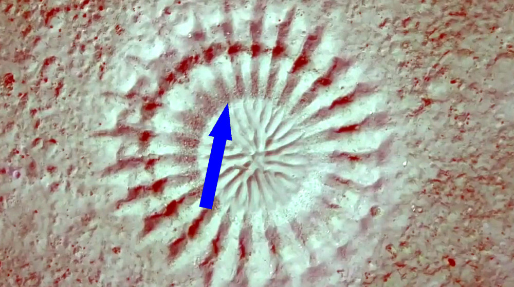    Тайна океанских ведьминых кругов у берегов Дании раскрыта