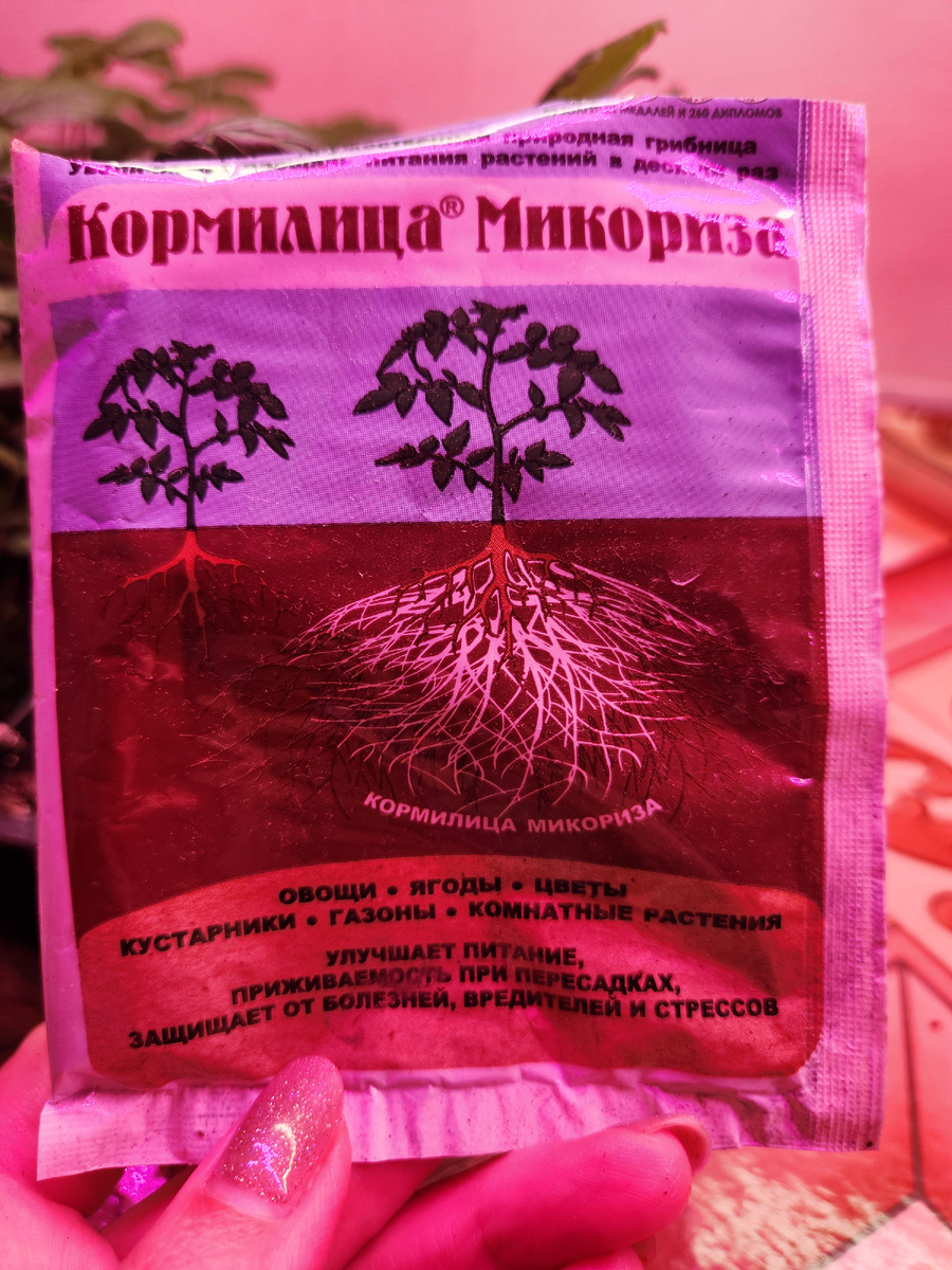 Теперь всегда при пикировке любой рассады и при укоренении цветов добавляютв грунт Микоризу.