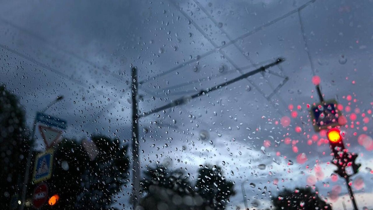    Фото: телеканал «Краснодар»