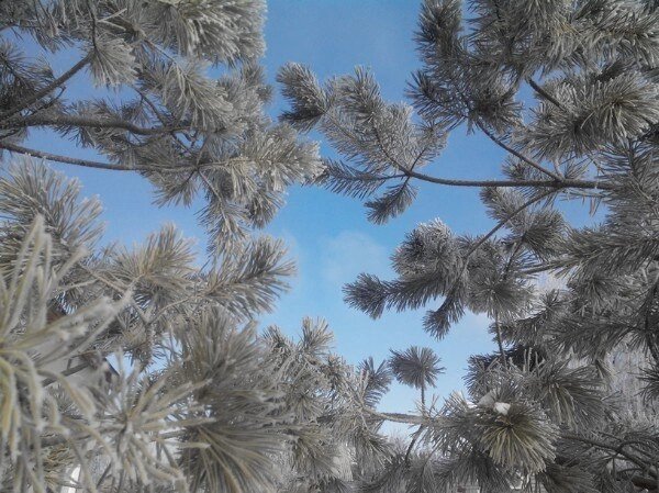 Зима была в тот год совсем не такая... 